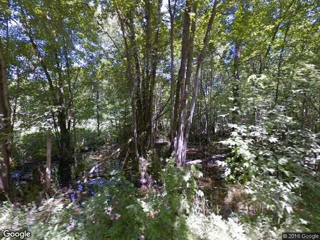 Street View image from Buller Siding, Ontario