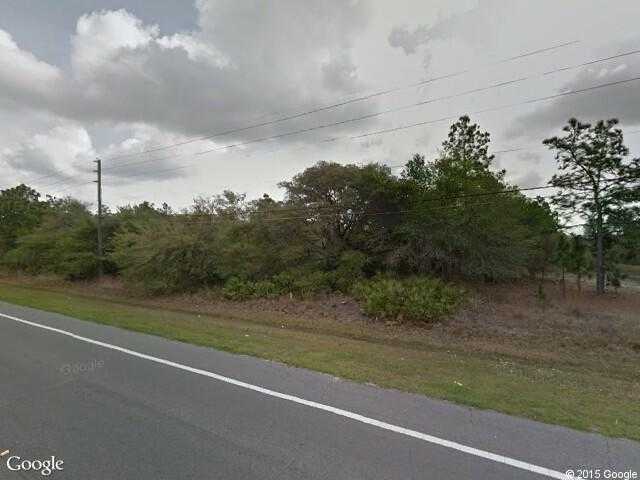 Street View image from Wedgefield, Florida