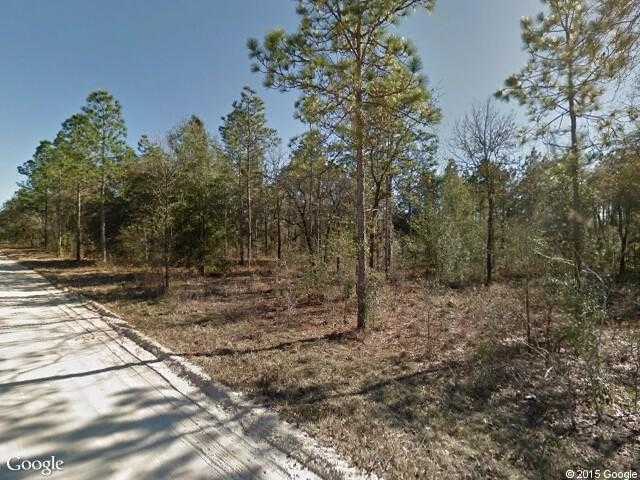 Street View image from Williston Highlands, Florida