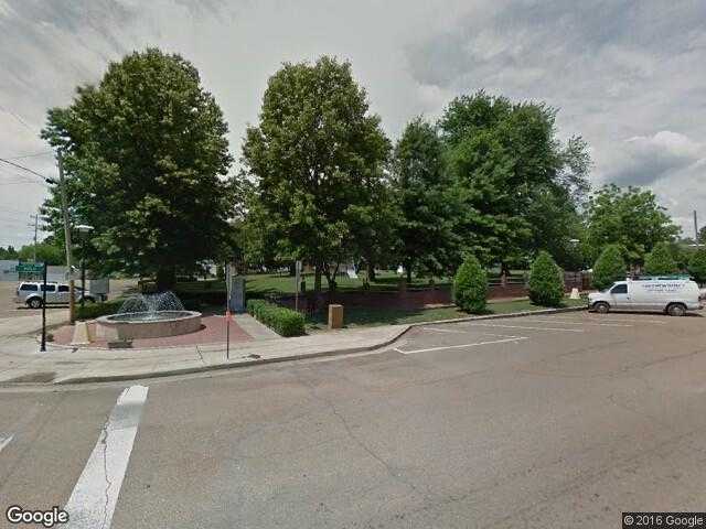 Street View image from Troy, Tennessee