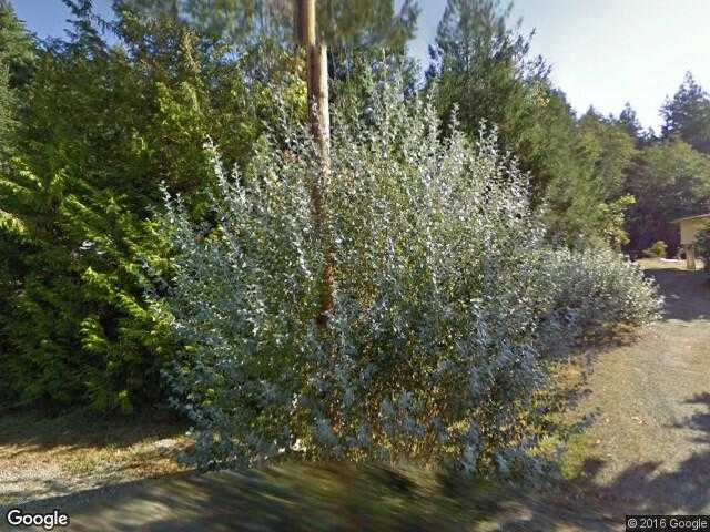 Street View image from Saltery Bay, British Columbia 