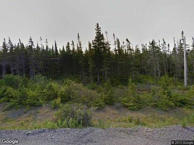 Street View image from Eddies Cove West, Newfoundland and Labrador