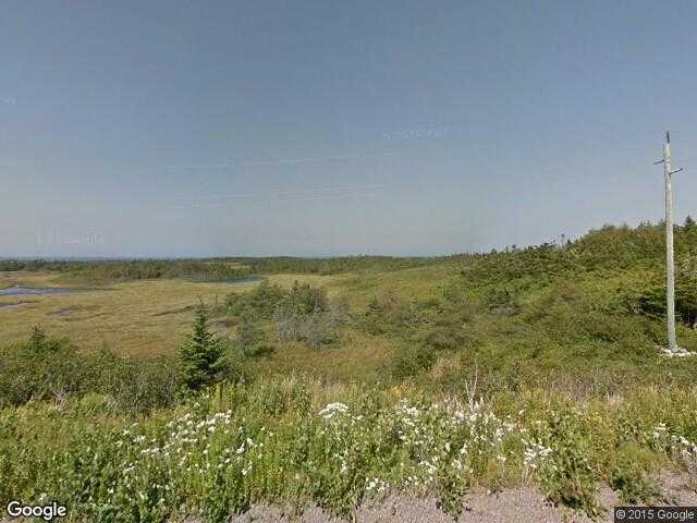 Street View image from Molliers, Newfoundland and Labrador