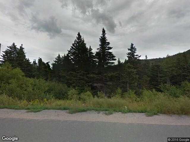 Street View image from Plate Cove East, Newfoundland and Labrador