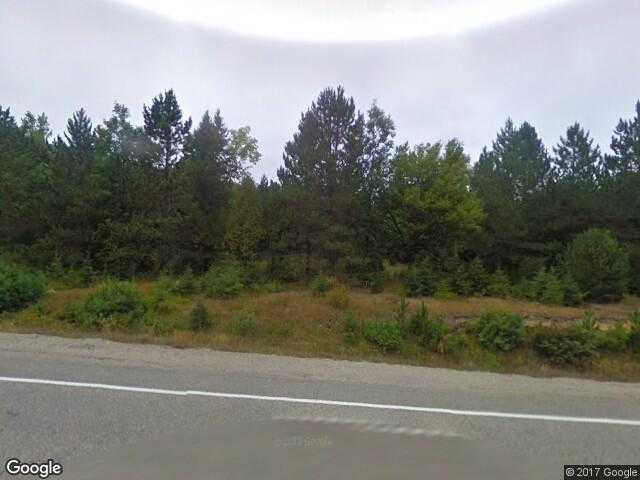 Street View image from Algonquin Park, Ontario