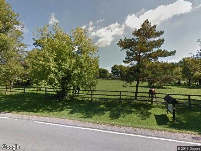 Street View image from Pine Orchard, Ontario