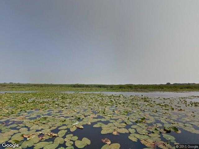 Street View image from Point Pelee, Ontario