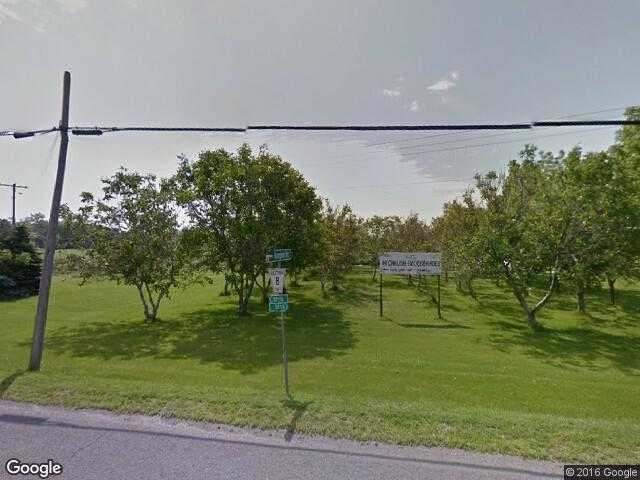 Street View image from Waupoos East, Ontario