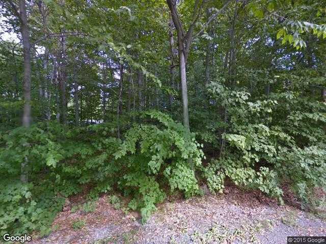 Street View image from Tree Farm, Quebec