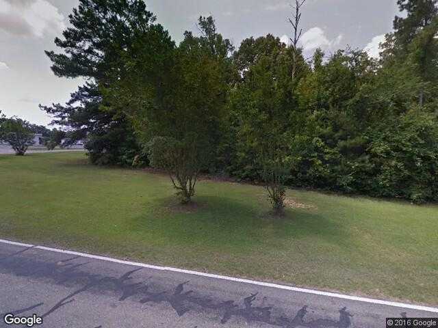 Street View image from Myrtlewood, Alabama