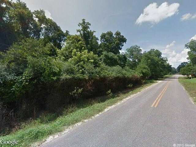 Street View image from River Falls, Alabama