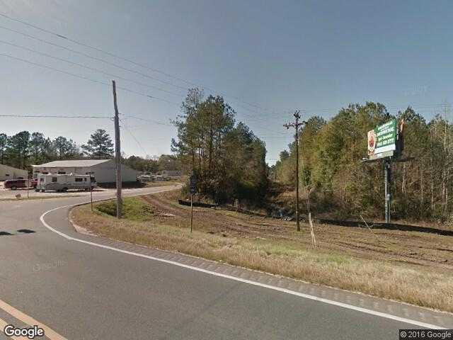 Street View image from Riverview, Alabama