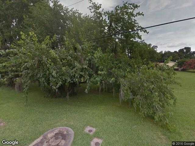 Street View image from Belleview, Florida