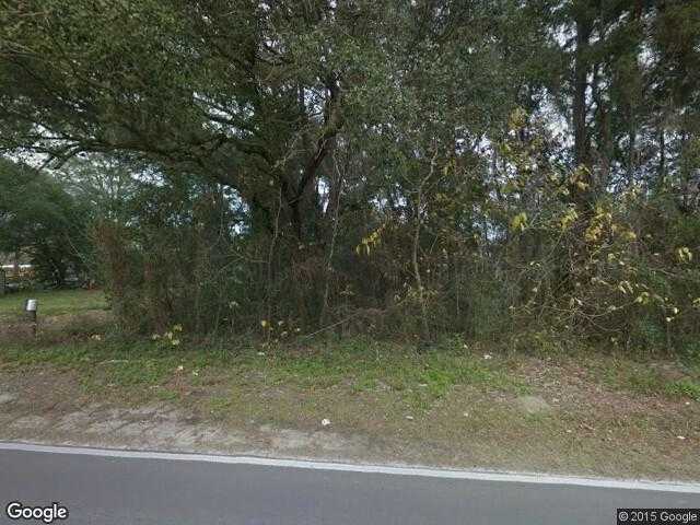 Street View image from East Williston, Florida