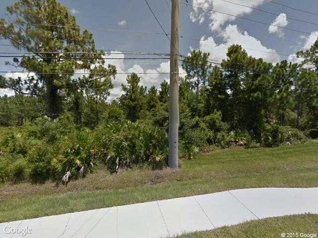 Street View image from Lake Hart, Florida