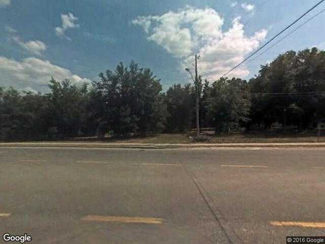 Street View image from Mascotte, Florida