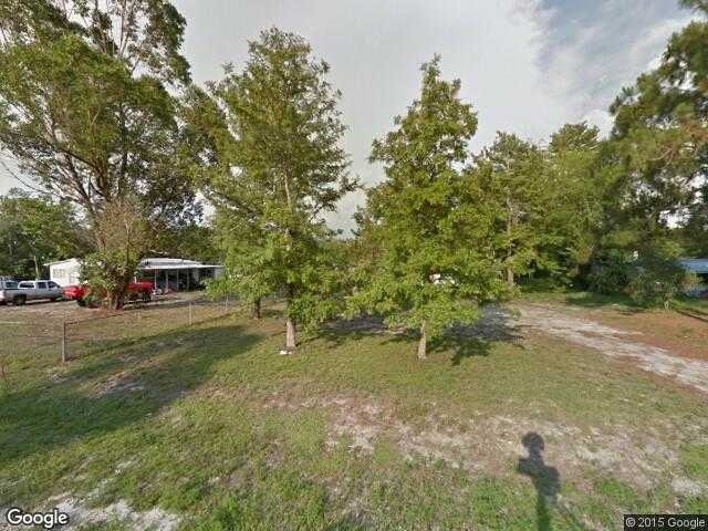 Street View image from Suncoast Estates, Florida