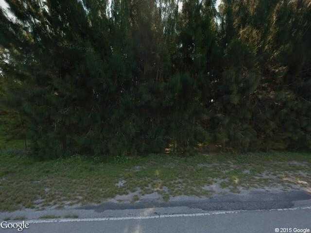 Street View image from Warm Mineral Springs, Florida