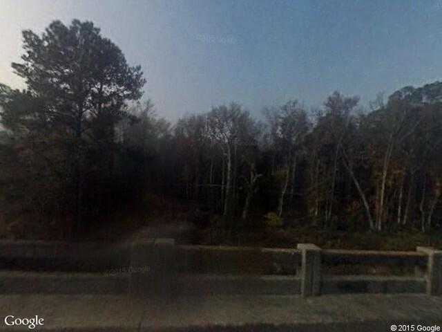 Street View image from Riceboro, Georgia