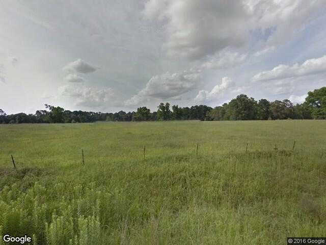 Street View image from Browndell, Texas