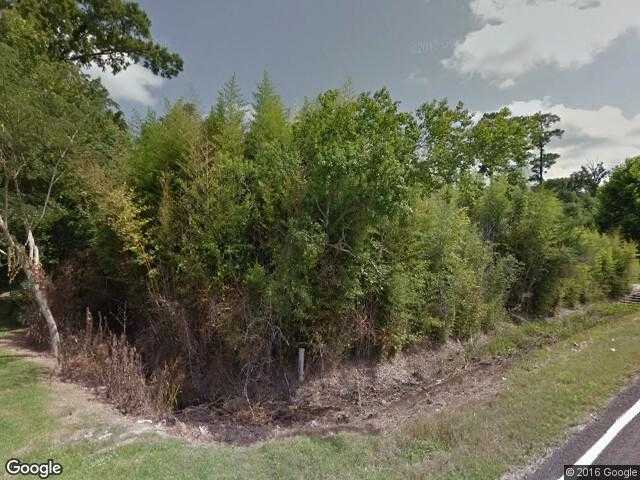 Street View image from Mauriceville, Texas