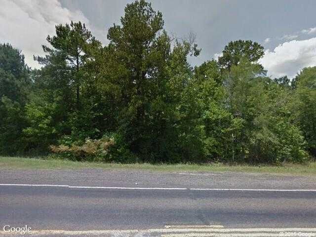 Street View image from Sam Rayburn, Texas