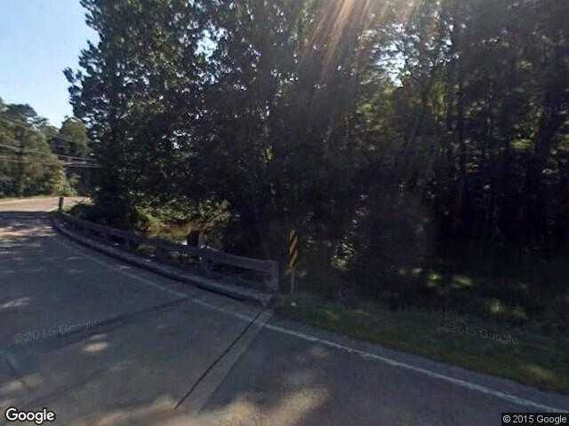 Street View image from Cedar Bluff, Virginia
